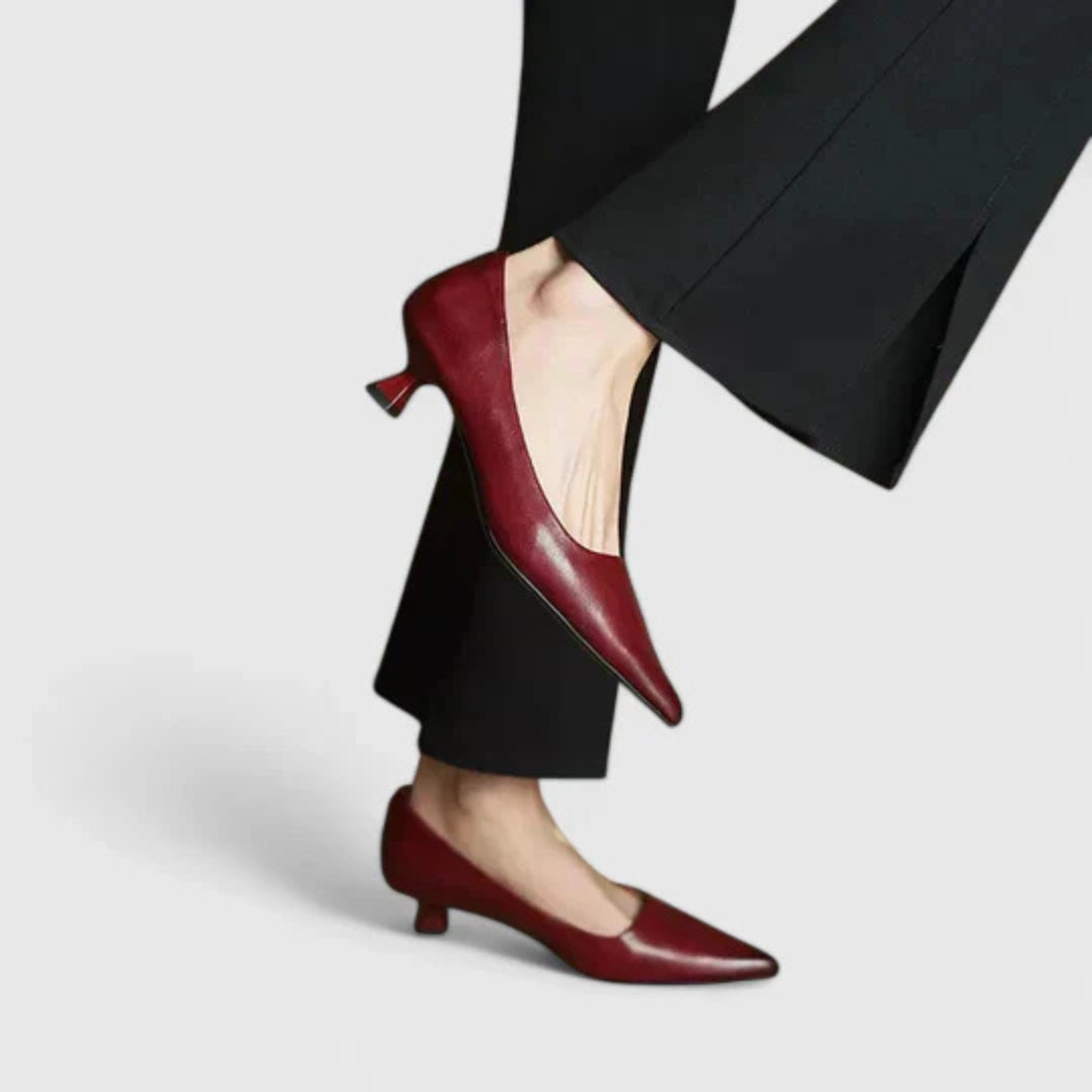 Damskie Czółenka na Niskim Obcasie z Ostro zakończonym Nosem – Eleganckie Buty do Biura i na Wieczór